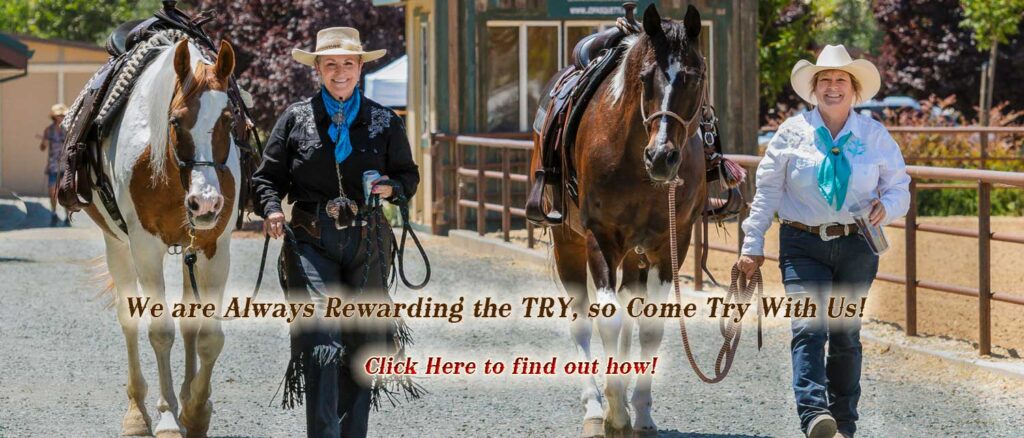 Maria Marriott, CDW Official Horse Photographer
