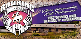 rawking-horse-ranch1